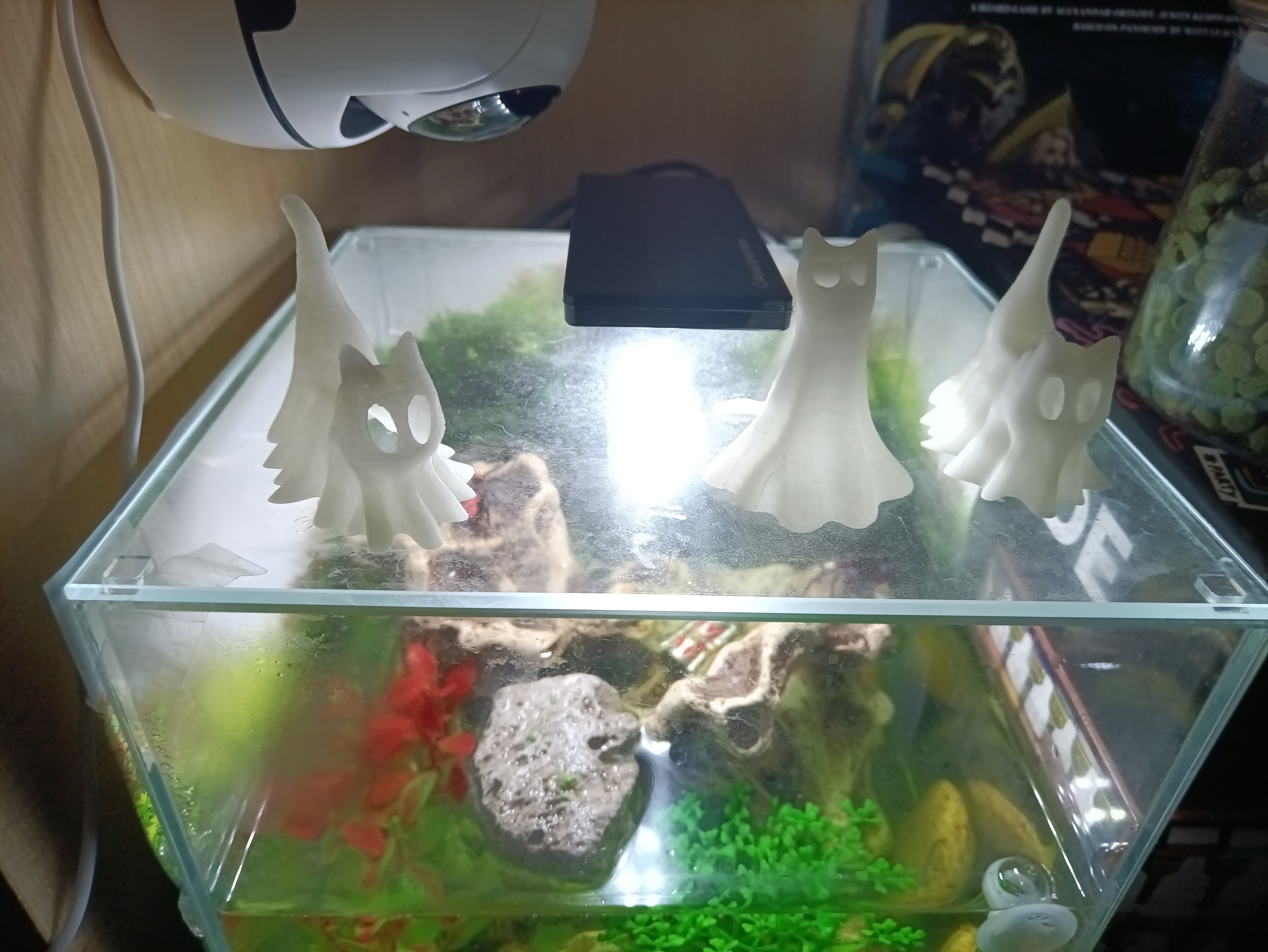 Decorations, Cats, and the First Attempt to Scale